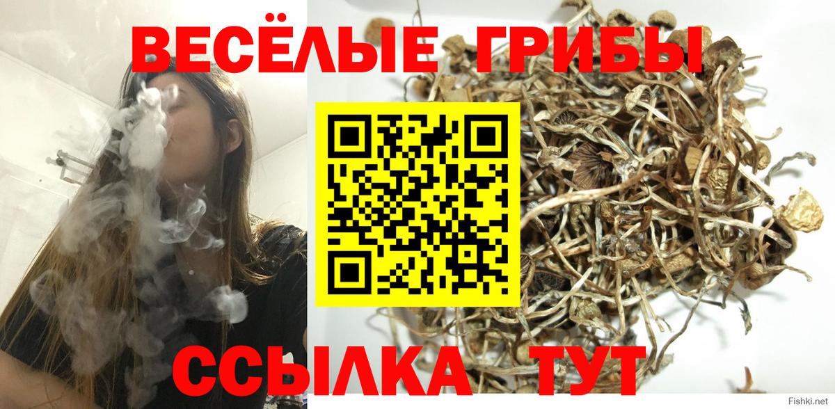 Кыштым  как найти наркотики  Вход с VPN  Галлюциногенные грибы прущие грибы 